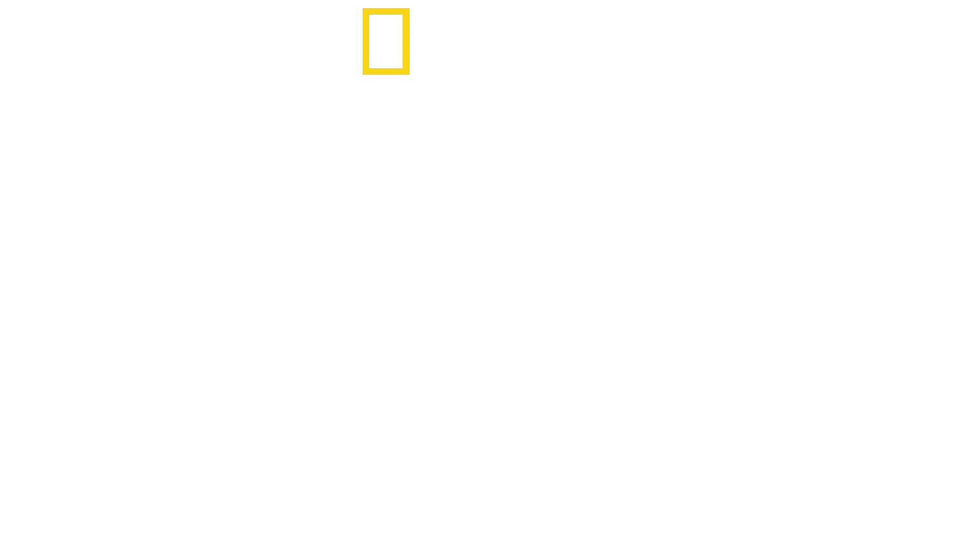 Il Mistero dei Leoni