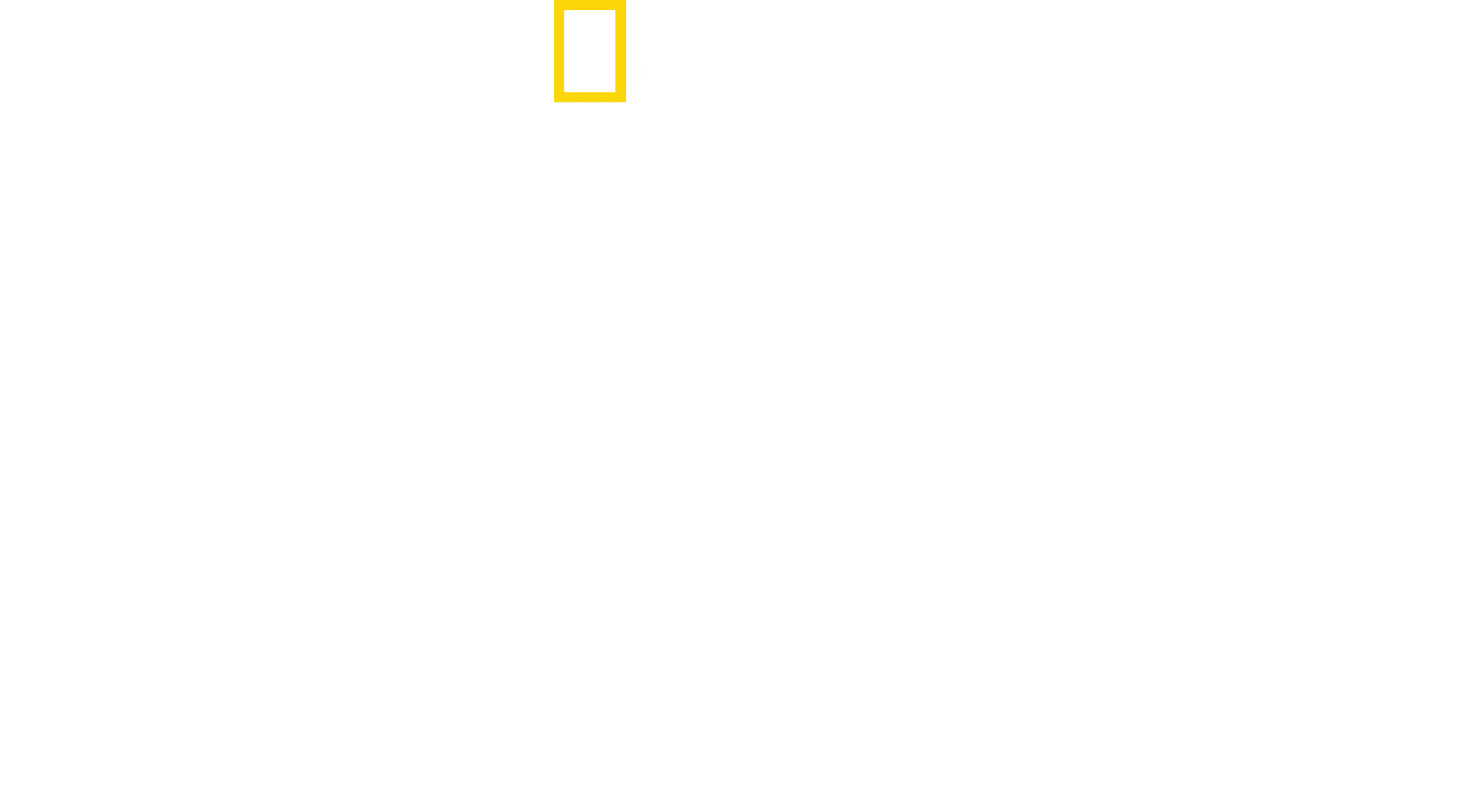 Il Mistero dei Leoni