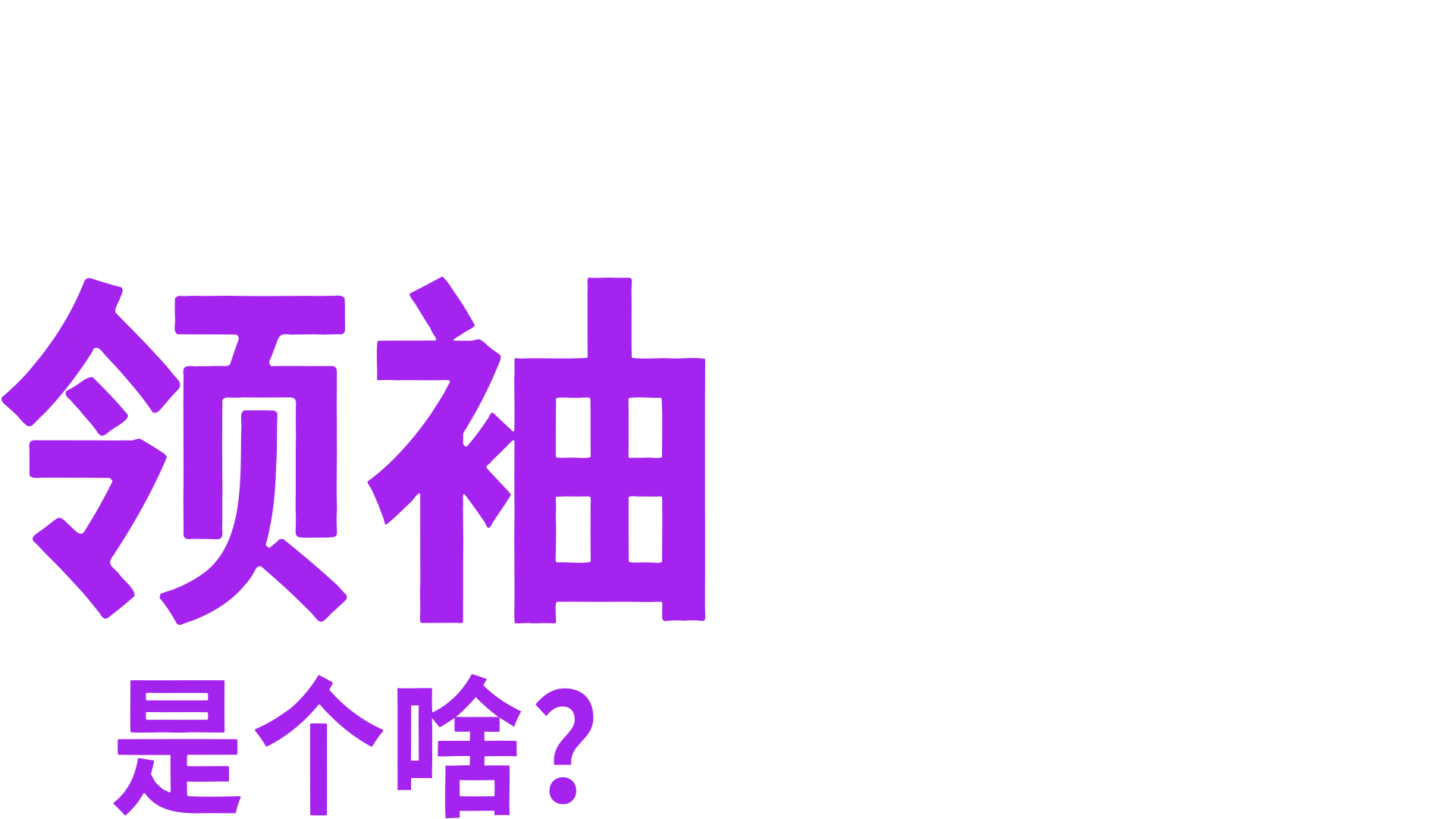 领袖是个啥？