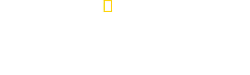 Žraloci ze ztraceného ostrova