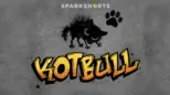 thumbnail - Kotbull