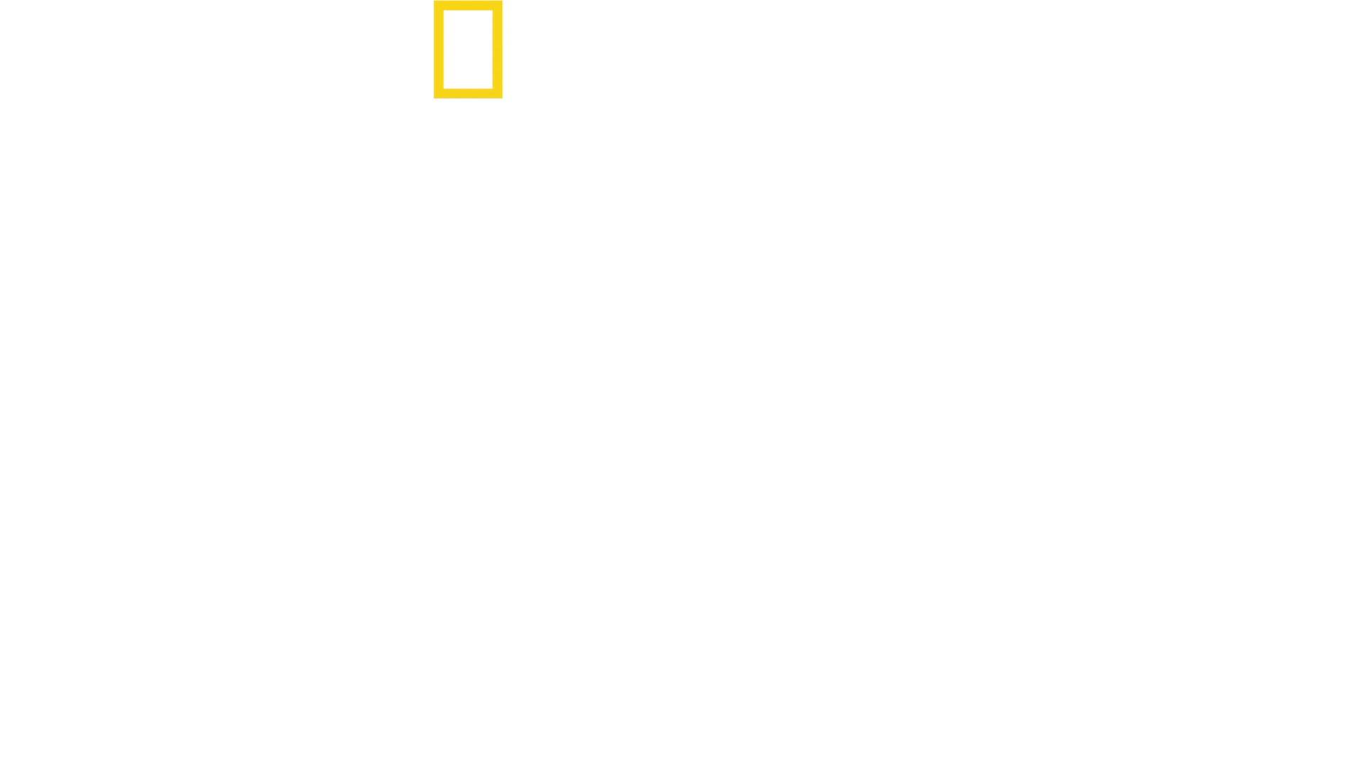집밥의 맛, 지구 한 바퀴 with 안토니 포로우스키