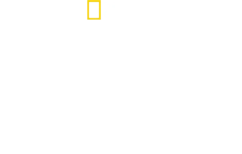 집밥의 맛, 지구 한 바퀴 with 안토니 포로우스키