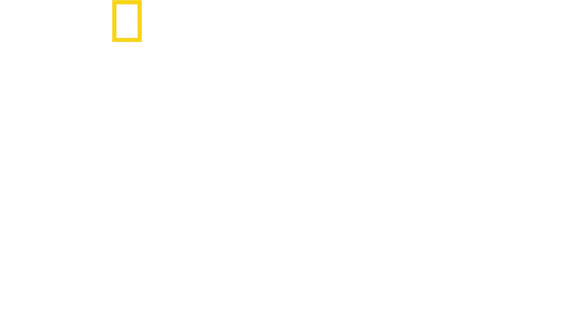 Tucci in Italy