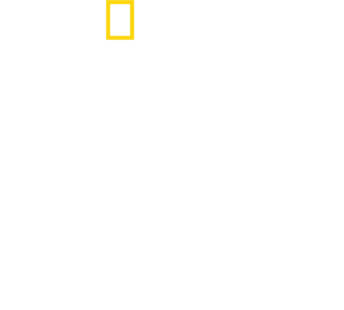 Tucci in Italy