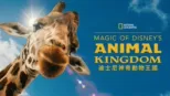 thumbnail - Magic of Disney’s Animal Kingdom《迪士尼神奇動物王國》