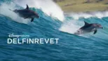 thumbnail - Disneynature: Delfinrevet