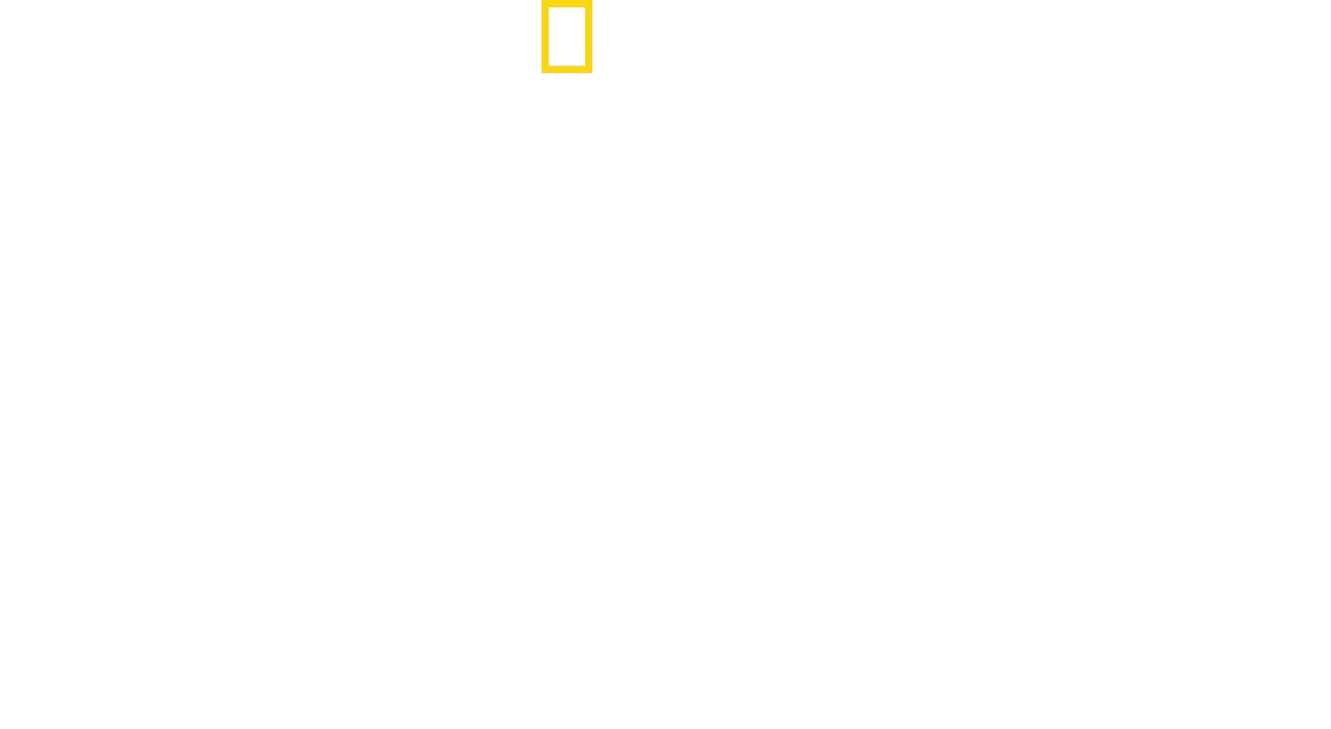 Destruction Decoded