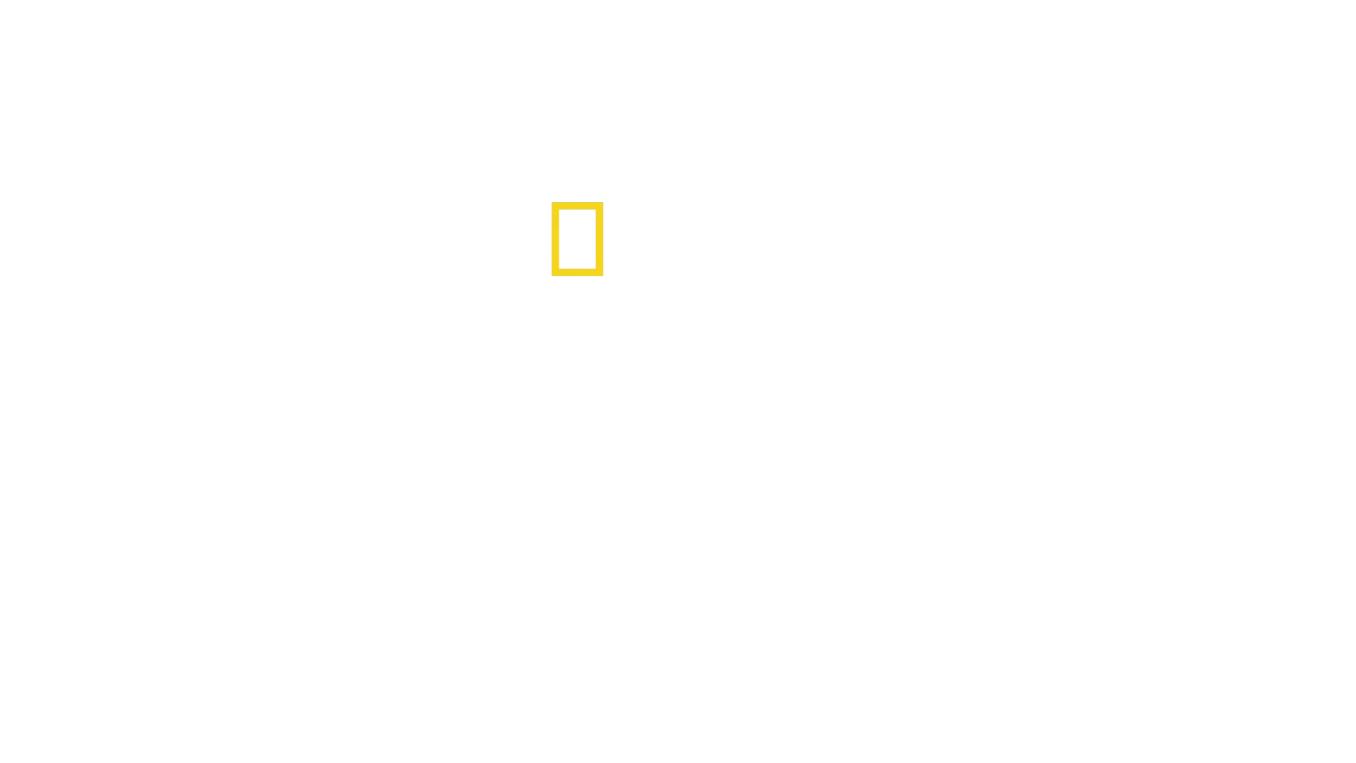 Super Shark Highway
