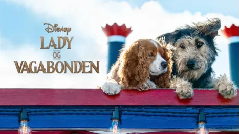 thumbnail - Lady og Vagabonden