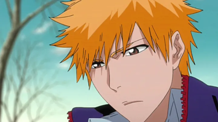 thumbnail - S24:E335 (Sub) Bleach 335