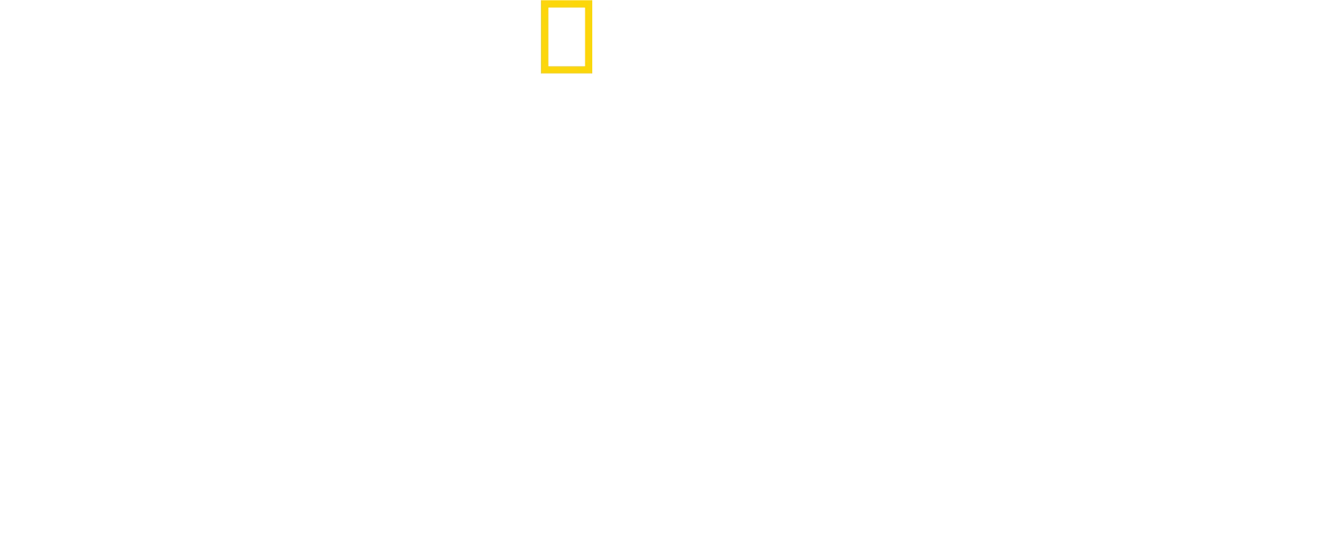 Amazzonia: la grande sfida