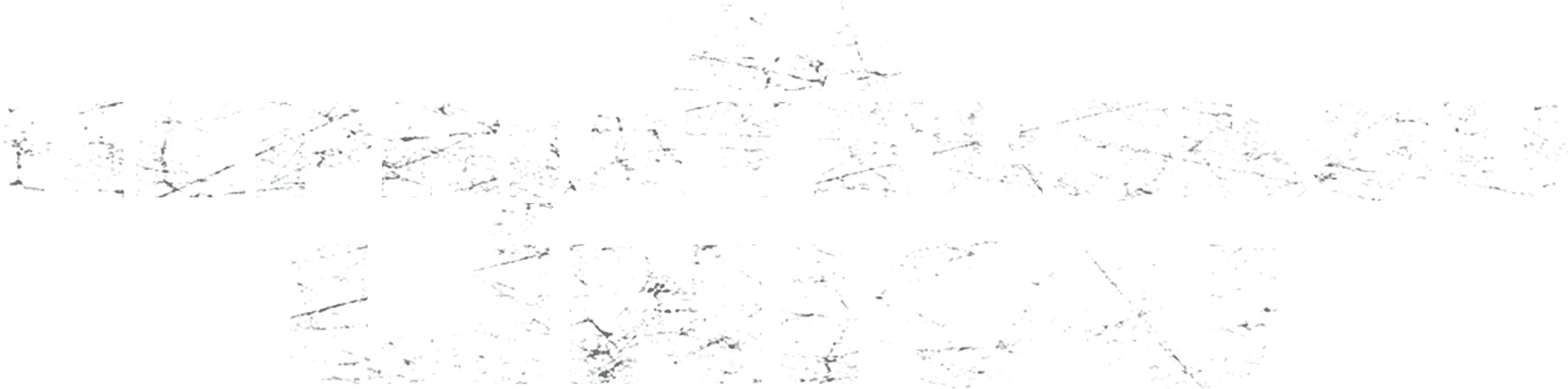 Za nepriateľskou líniou