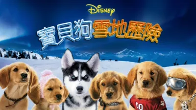 寶貝狗雪地歷險