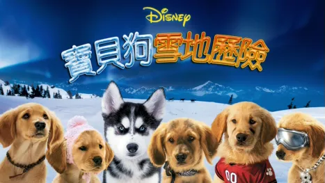 thumbnail - 寶貝狗雪地歷險
