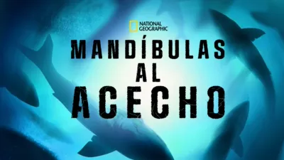 Mandíbulas al acecho