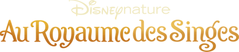 Au royaume des singes