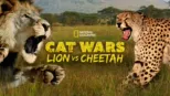 thumbnail - Cat Wars: Lion vs. Cheetah