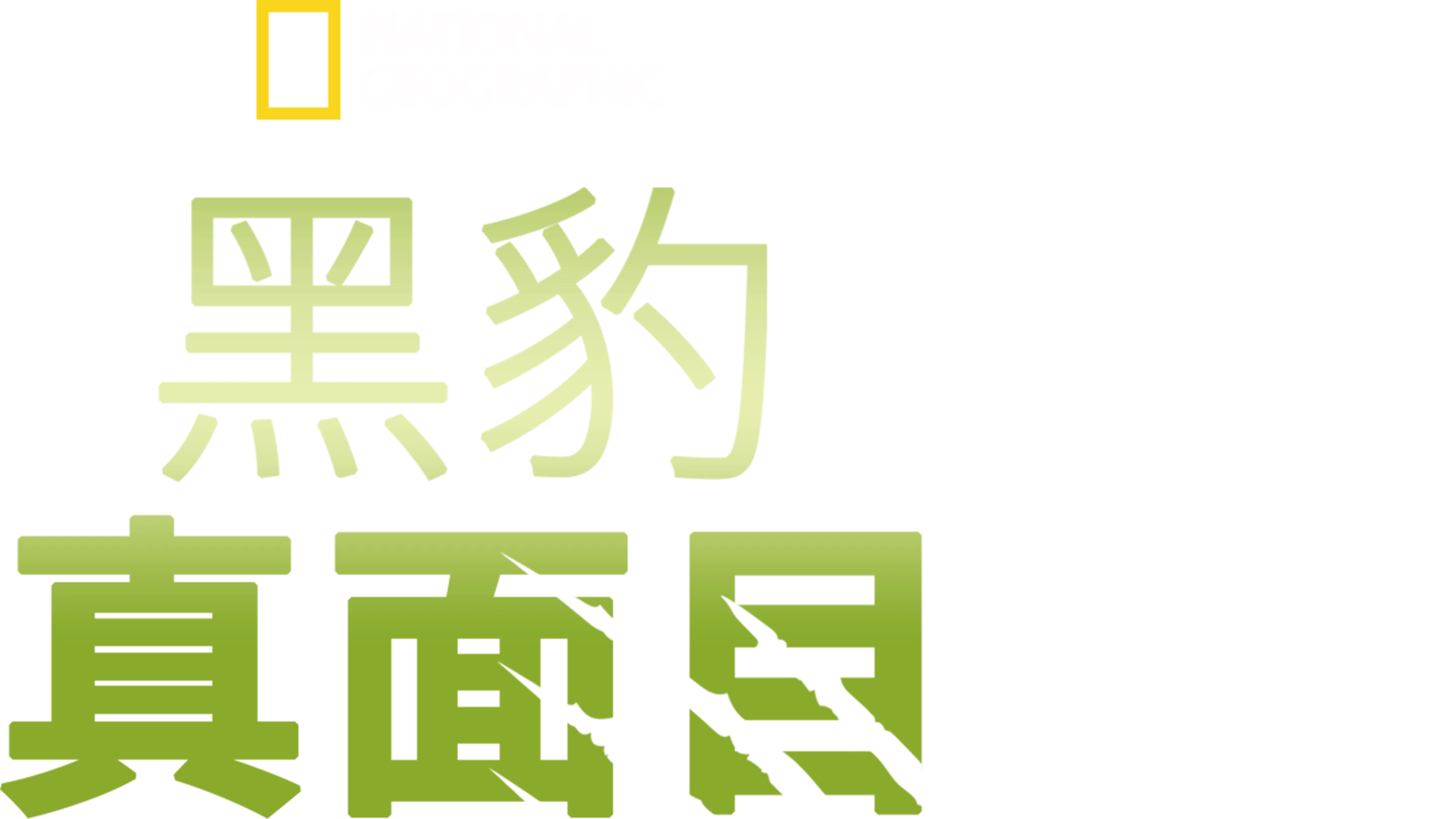 黑豹真面目
