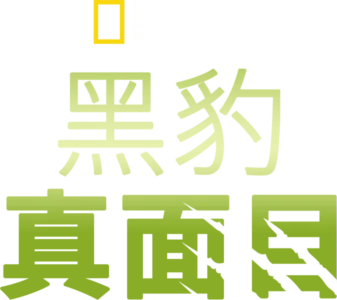 黑豹真面目