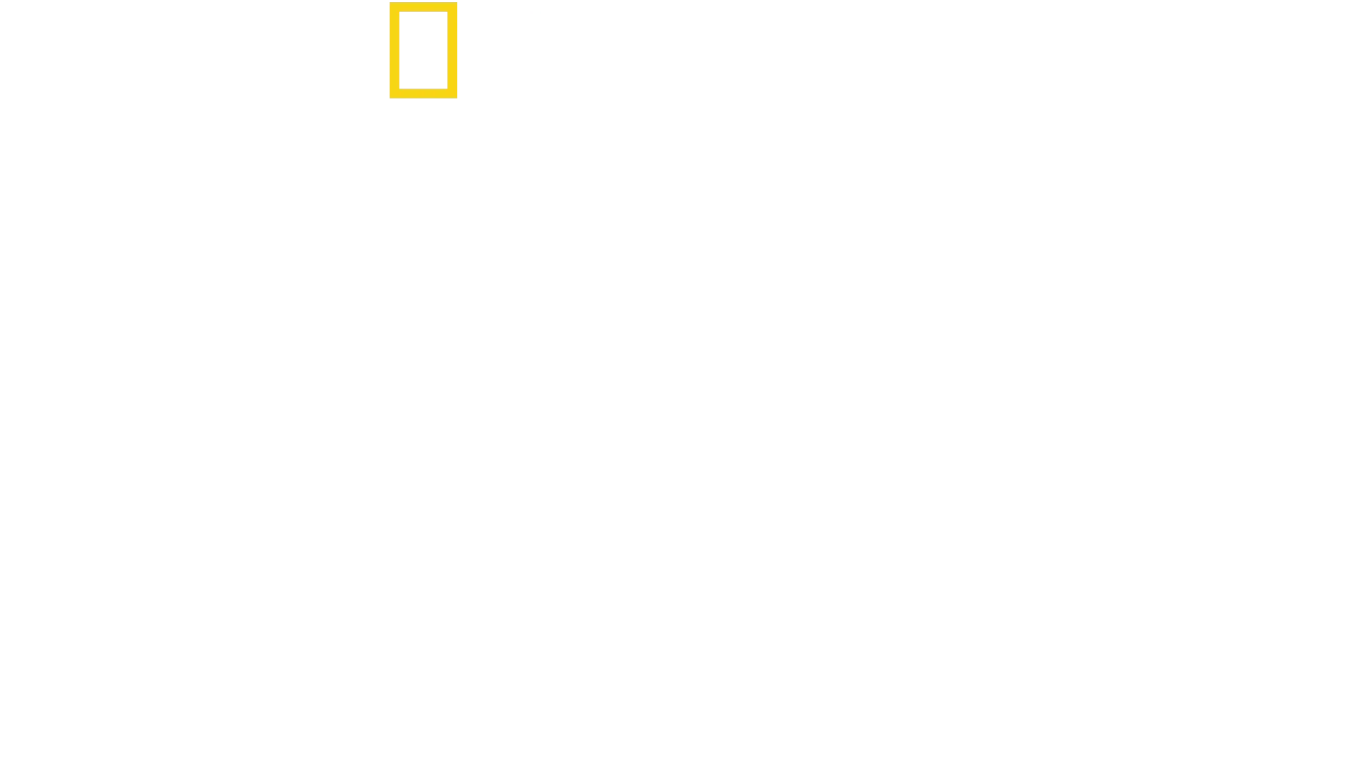 Brain Games : Testez votre cerveau
