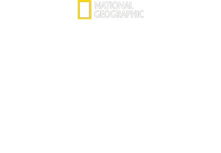 Brain Games
