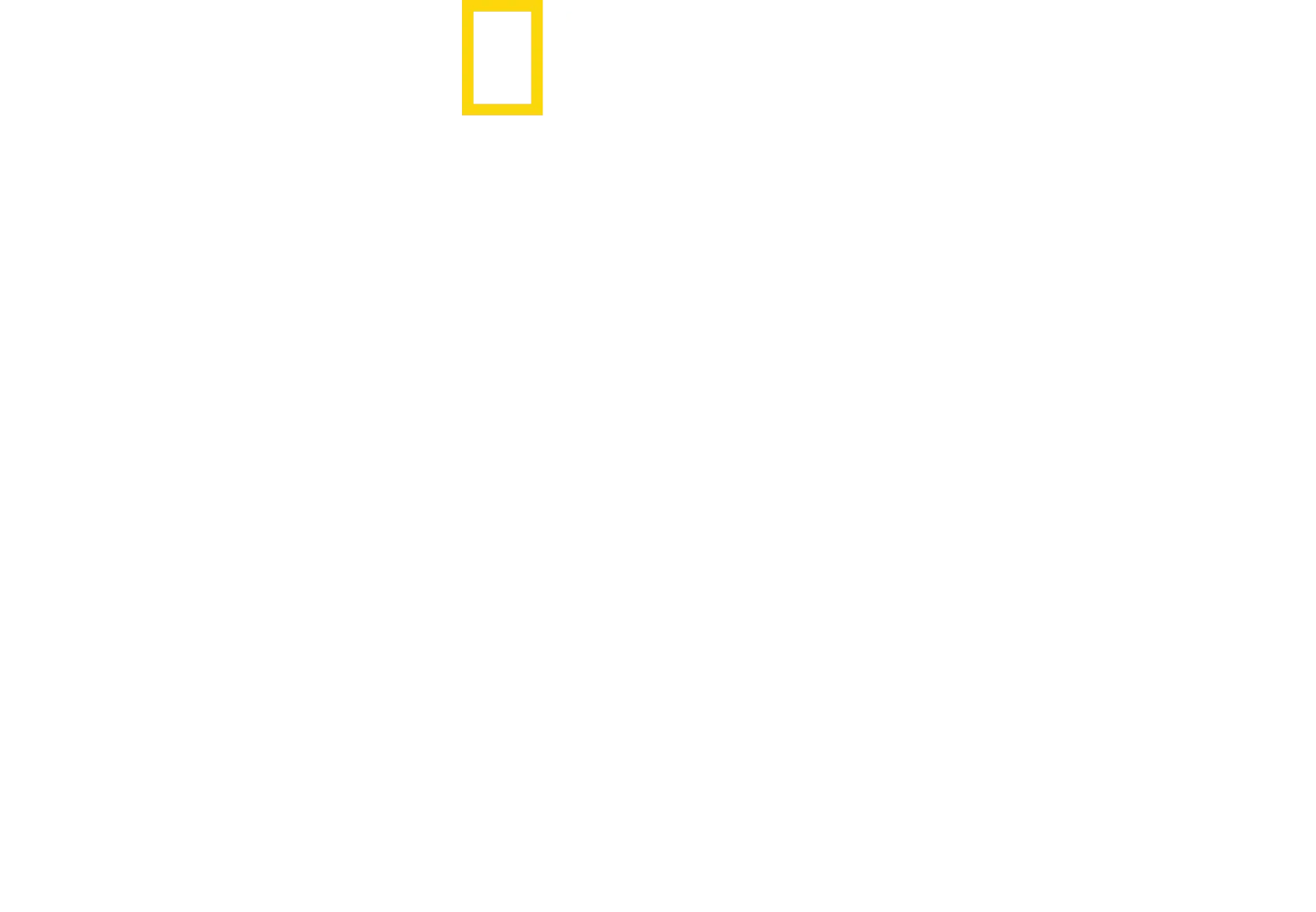 Brain Games : Testez votre cerveau