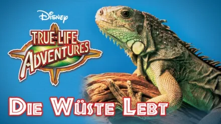 thumbnail - Die Wüste lebt