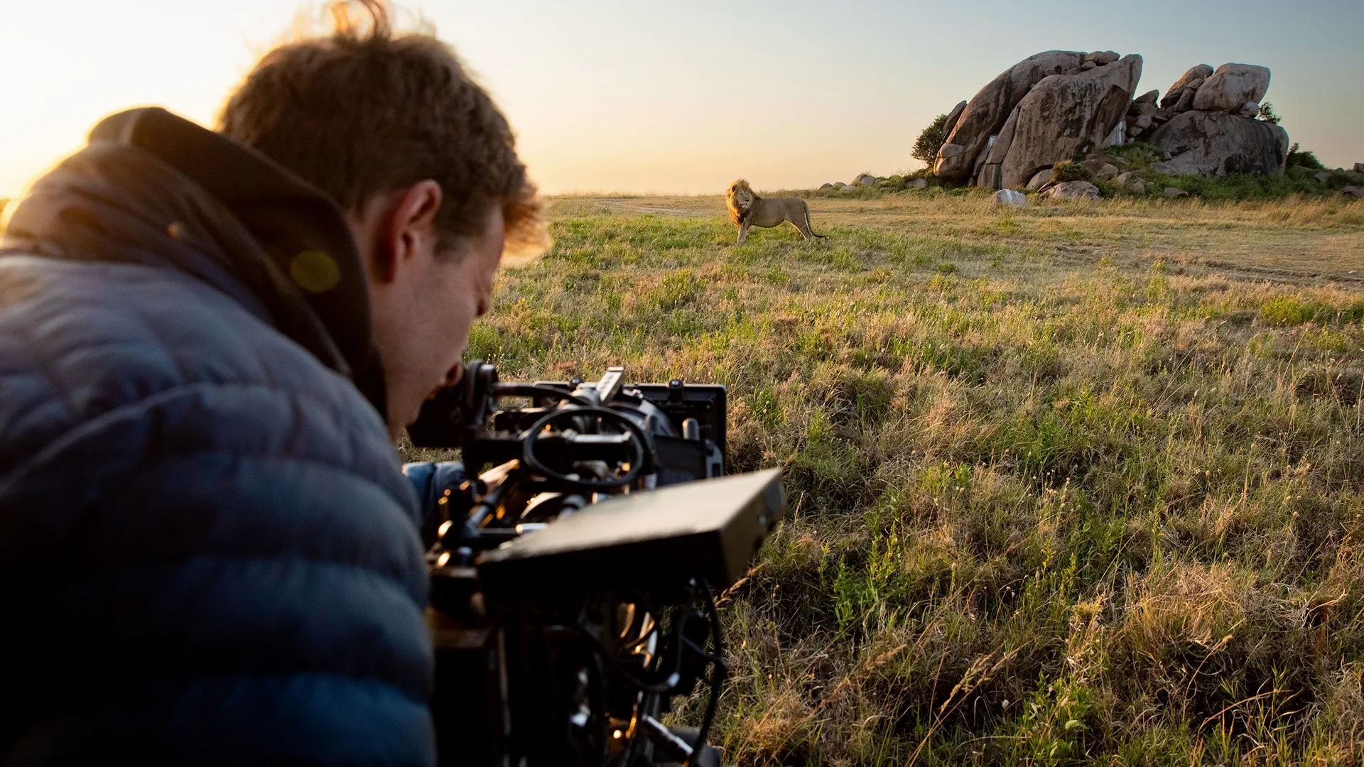 Bertie Gregory looks through his camera viewfinder at a male lion standing in front of a large rock in the early morning light. (credit: National Geographic/Jigar Ganatra)