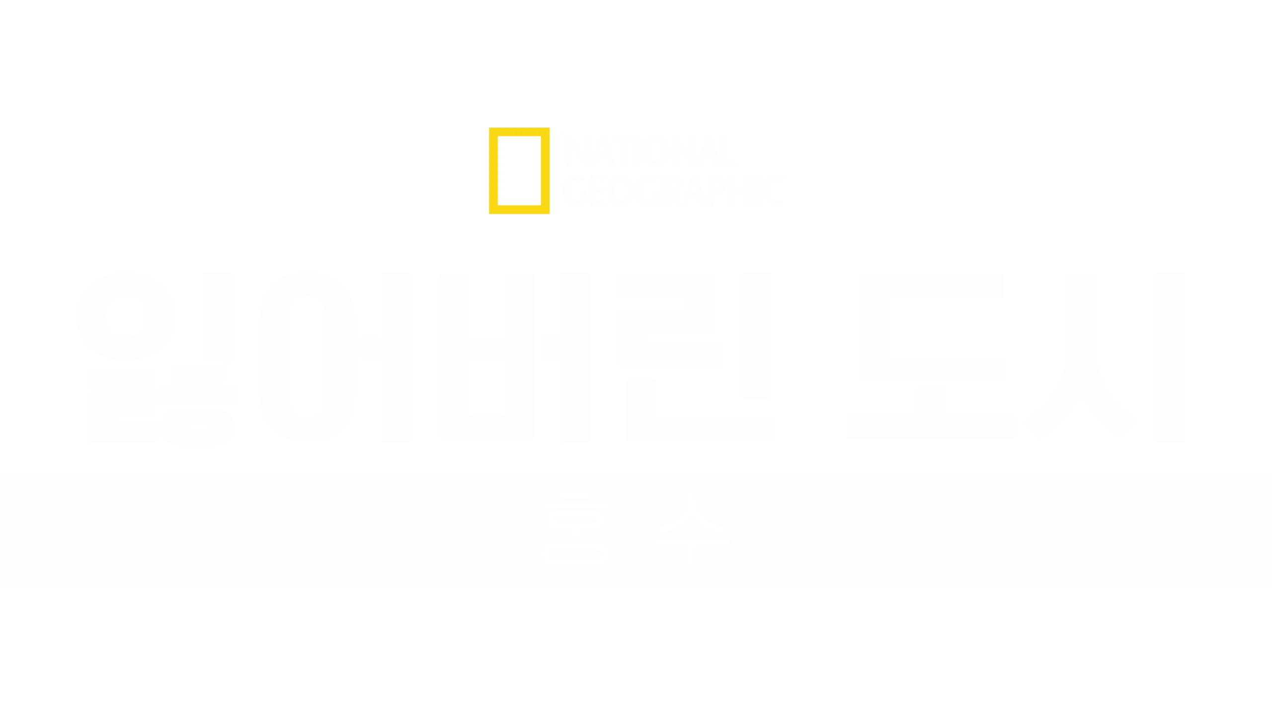 잃어버린 도시: 홍수