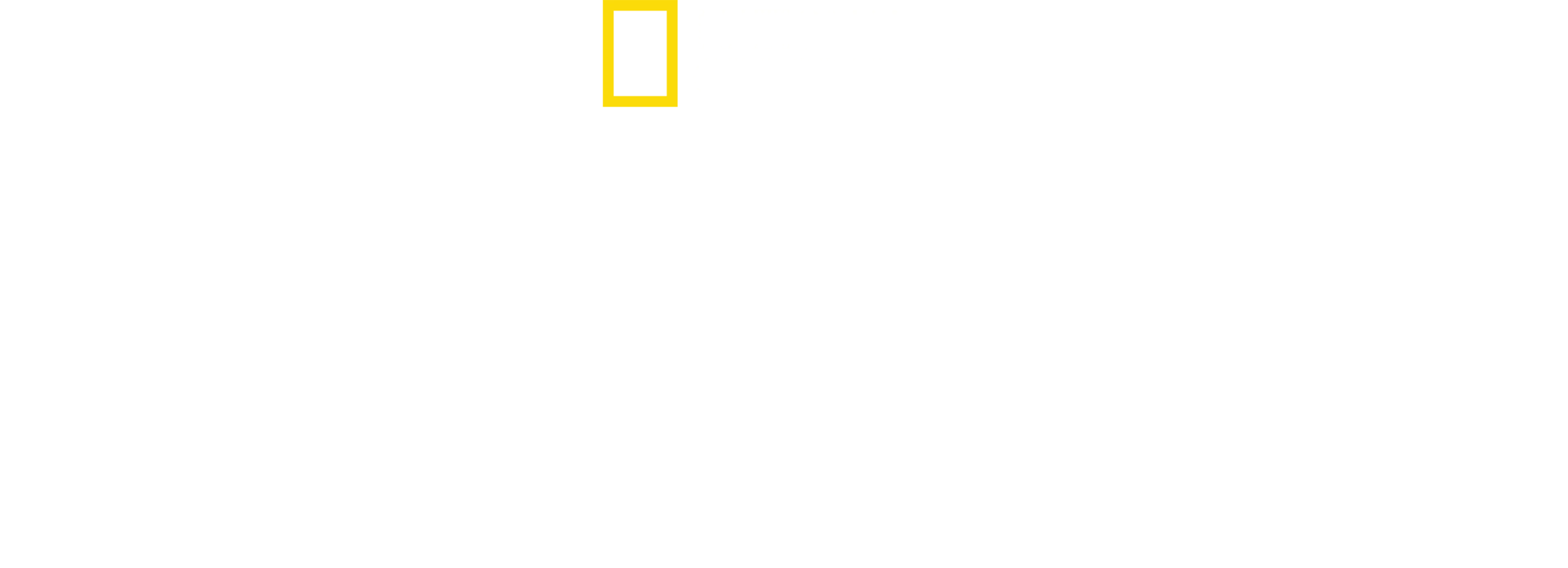 잃어버린 도시: 홍수