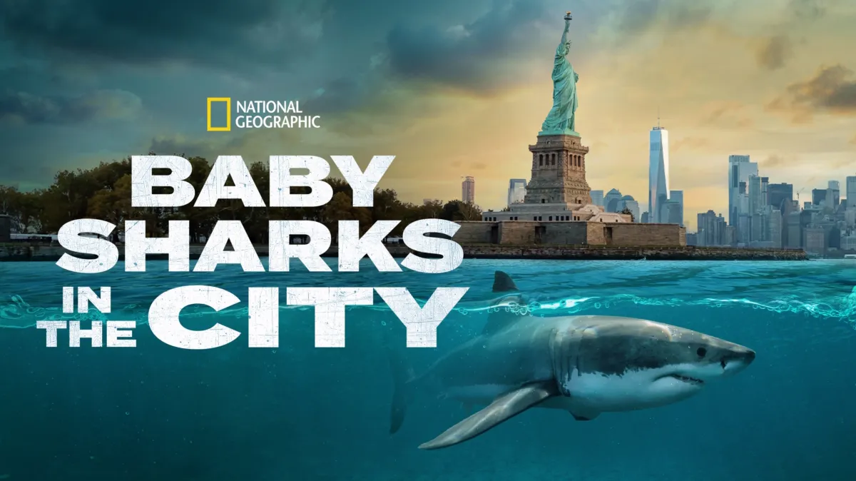 VHS・ビデオテープ 【】Sharks in the City [DVD]