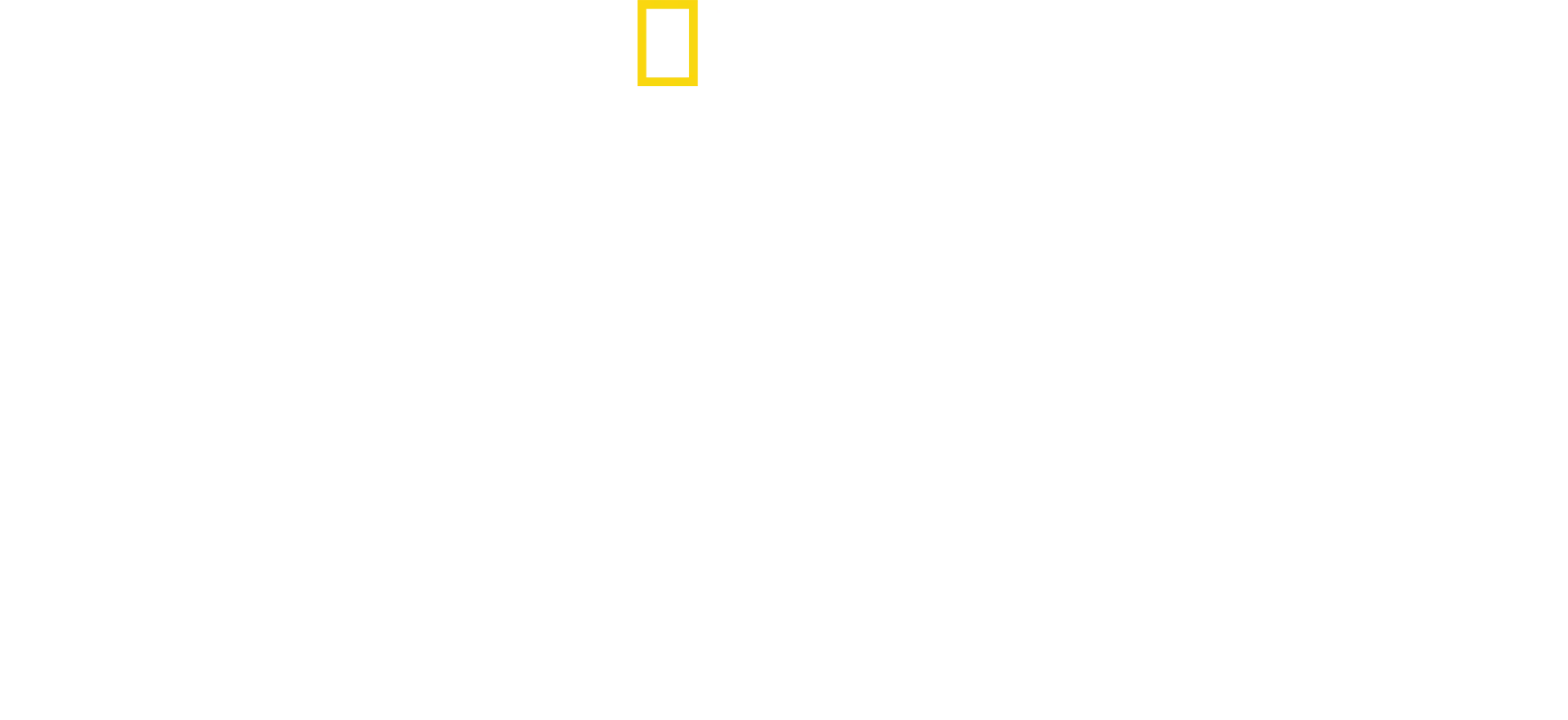 Bobi Wine - głos sprzeciwu