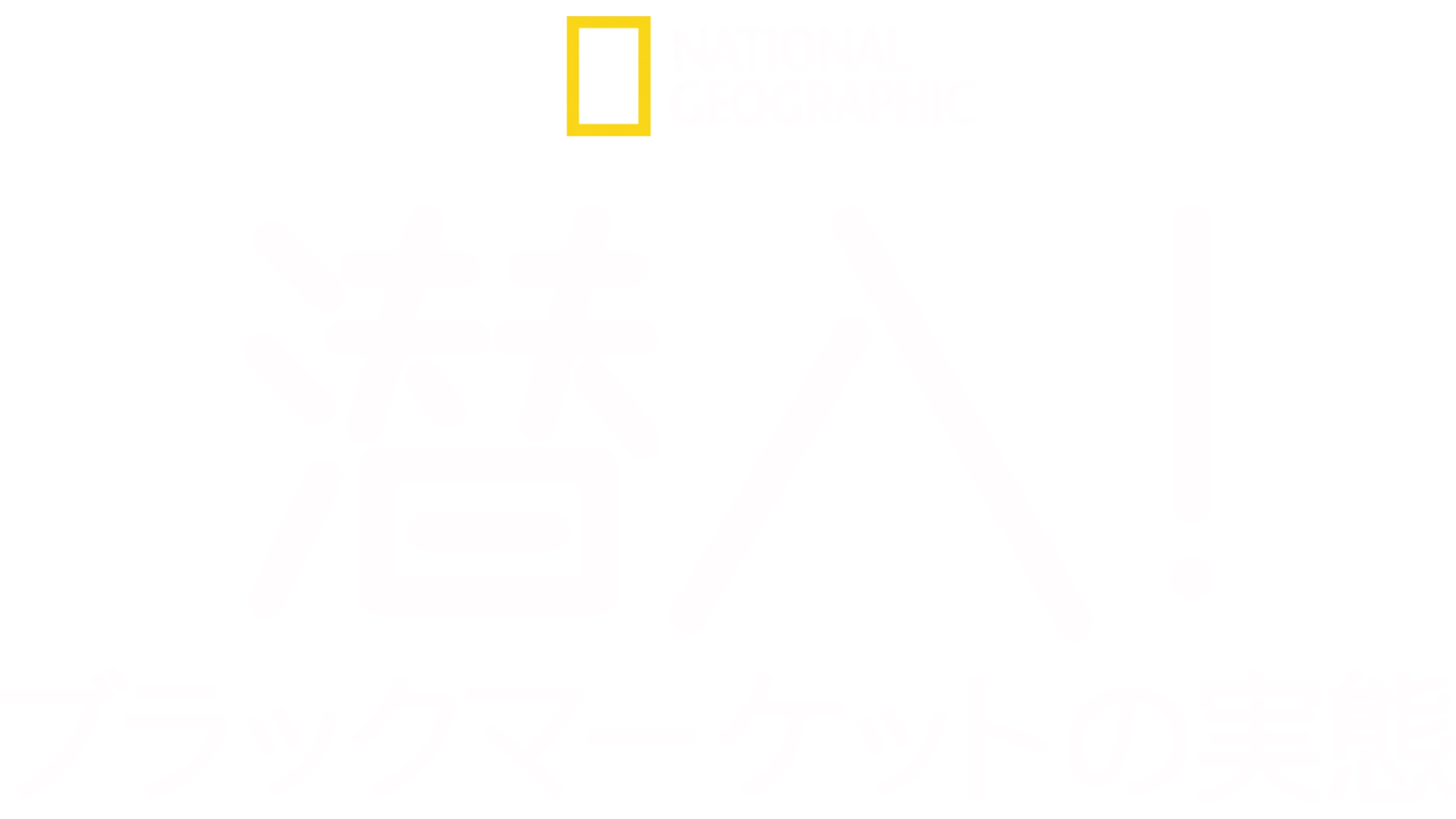潜入！ブラックマーケットの実態