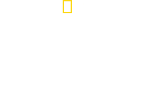 潜入！ブラックマーケットの実態