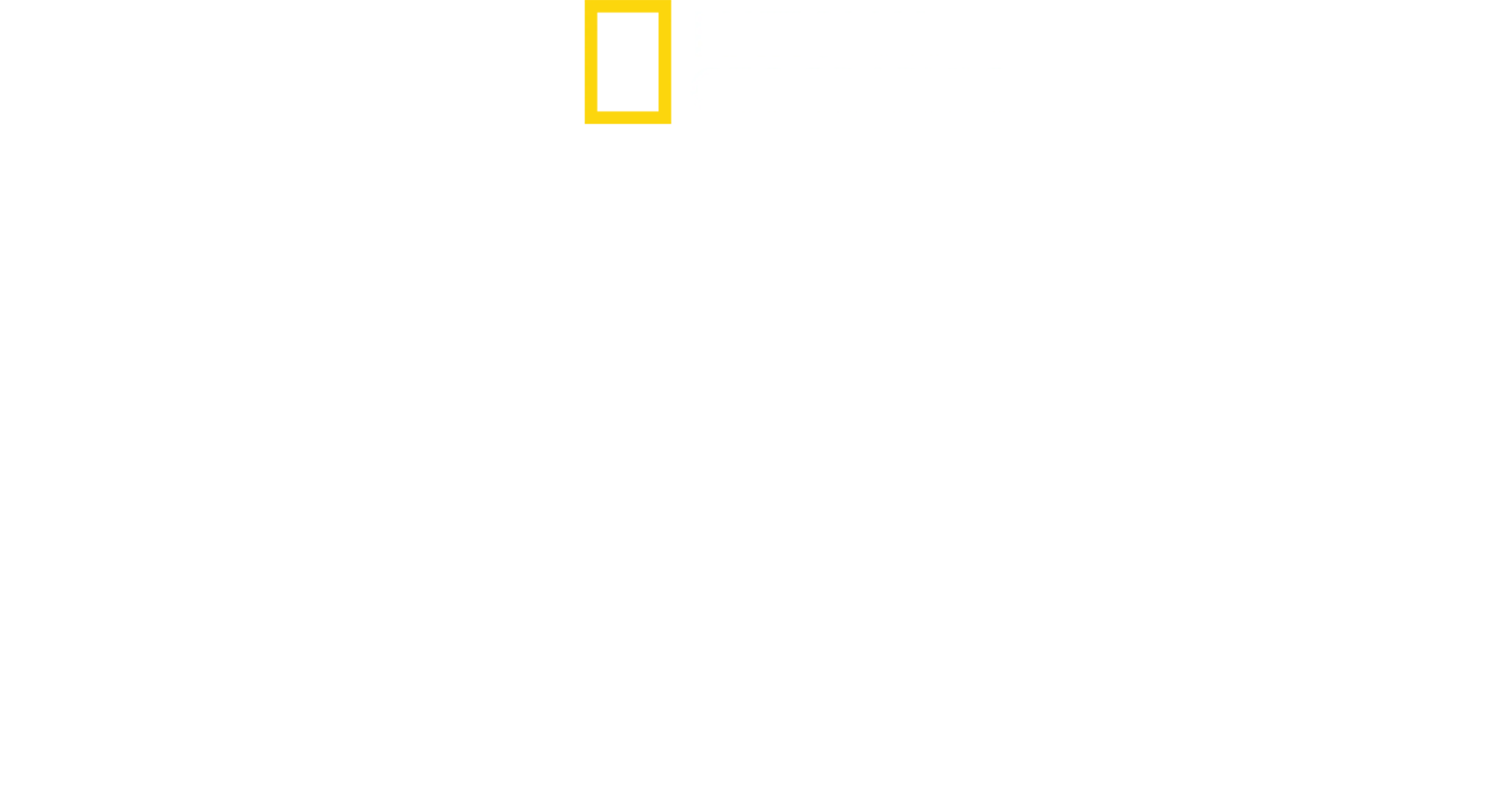 潜入！ブラックマーケットの実態