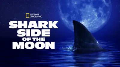 Shark Side of the Moon
