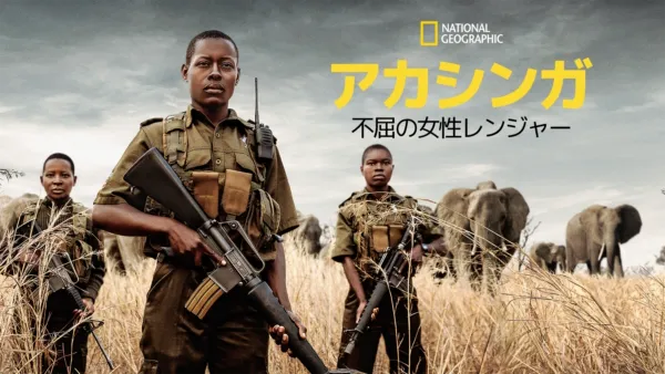 thumbnail - アカシンガ：不屈の女性レンジャー