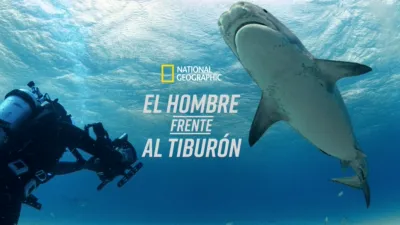 thumbnail - El hombre frente al tiburón