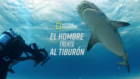 thumbnail - El hombre frente al tiburón
