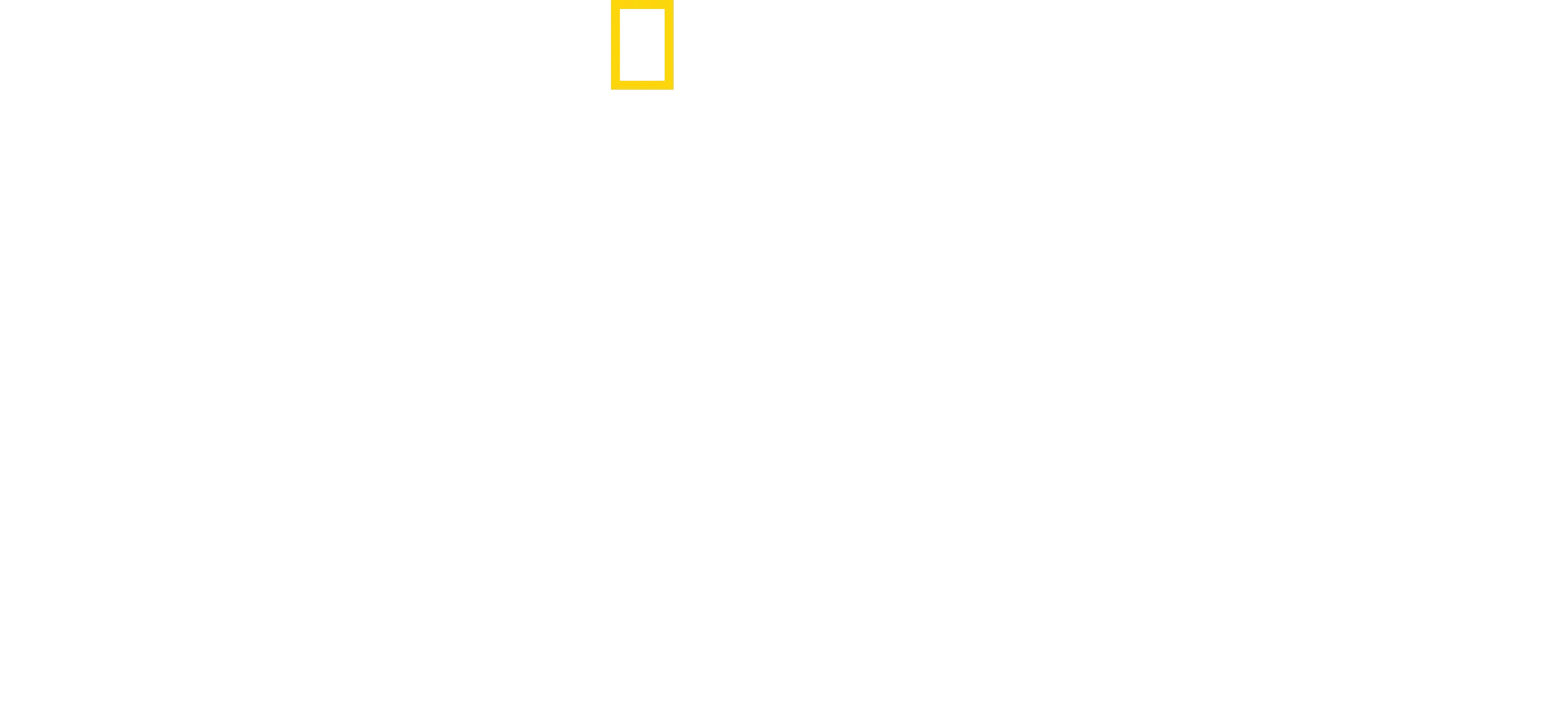 Dr. K's Exotic Animal ER