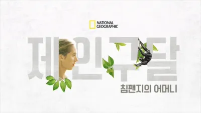 침팬지의 어머니, 제인 구달