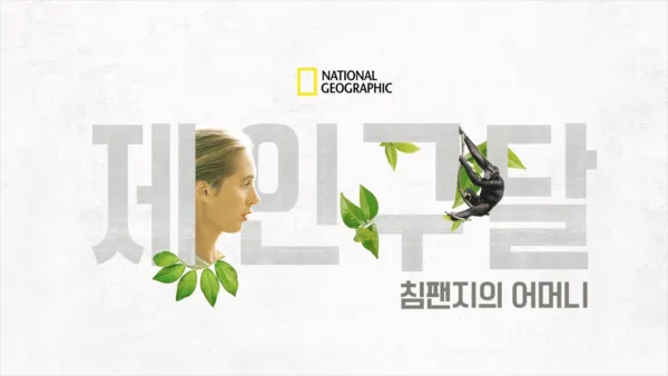 thumbnail - 침팬지의 어머니, 제인 구달
