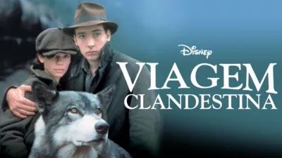 thumbnail - Viagem Clandestina
