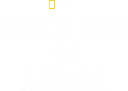 Weiße Haie vor Kanada