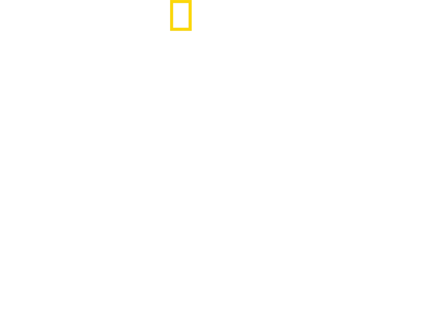 Weiße Haie vor Kanada