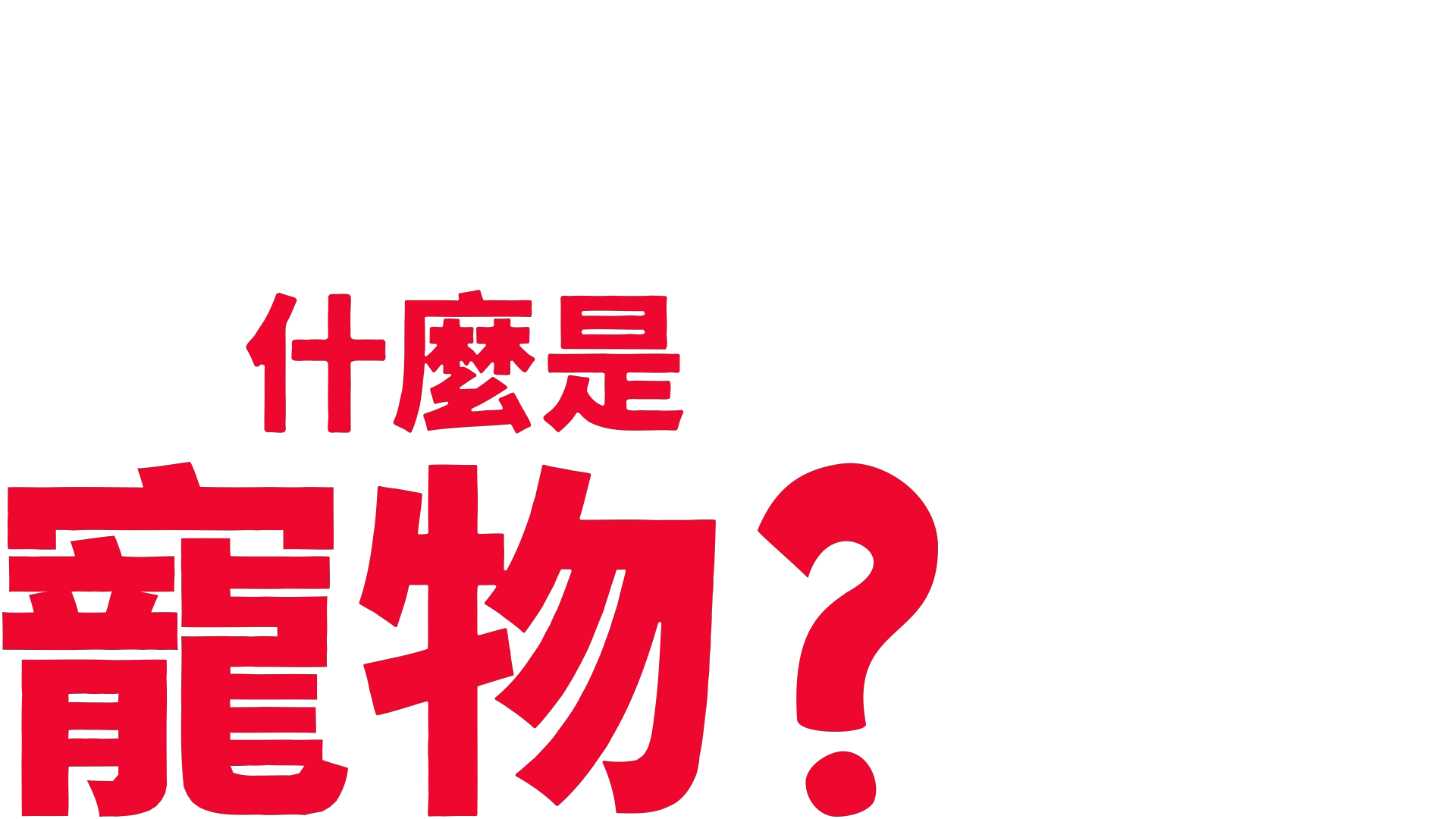 叉奇的十萬個為什麼:什麼是寵物