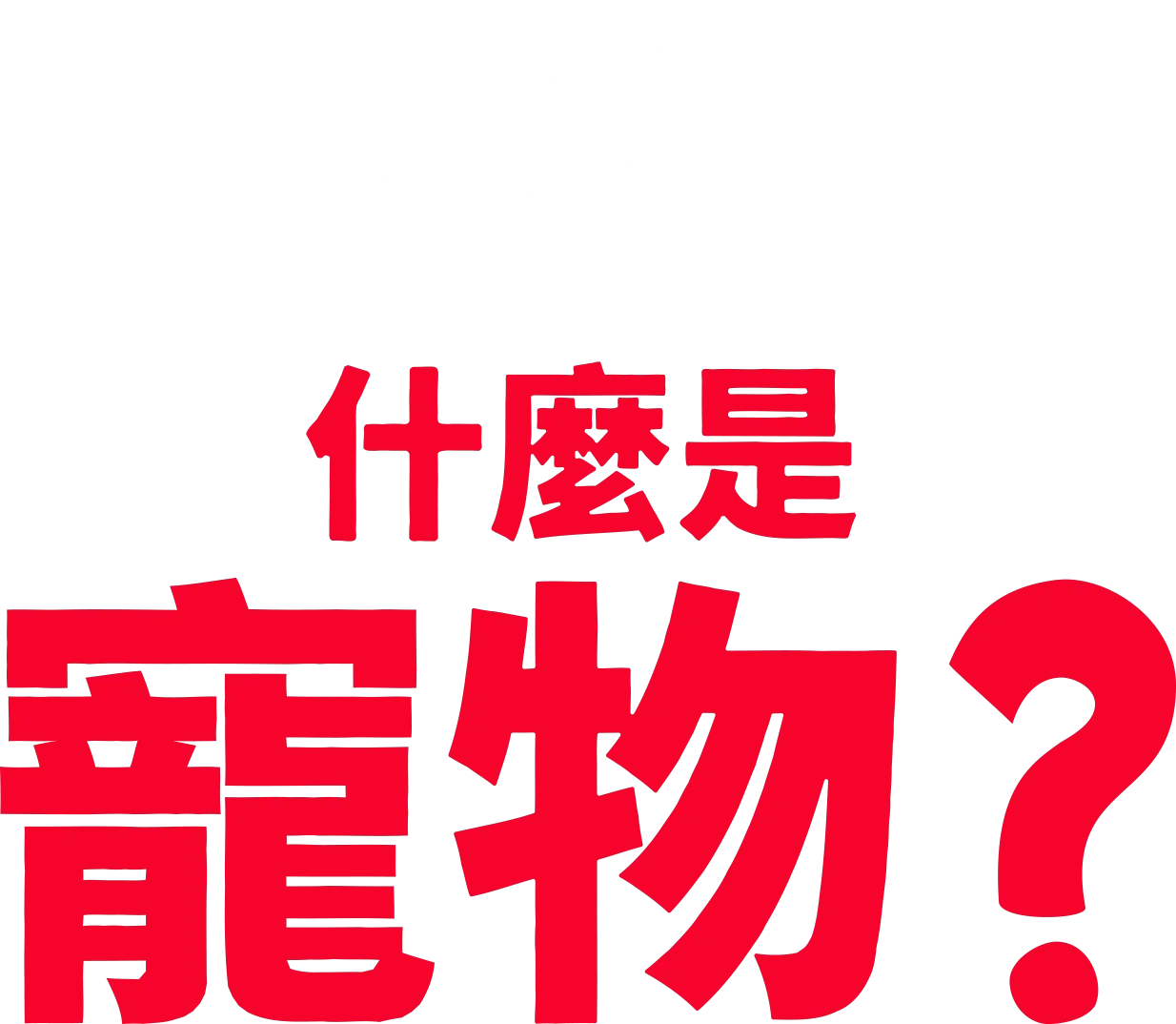 叉奇的十萬個為什麼:什麼是寵物