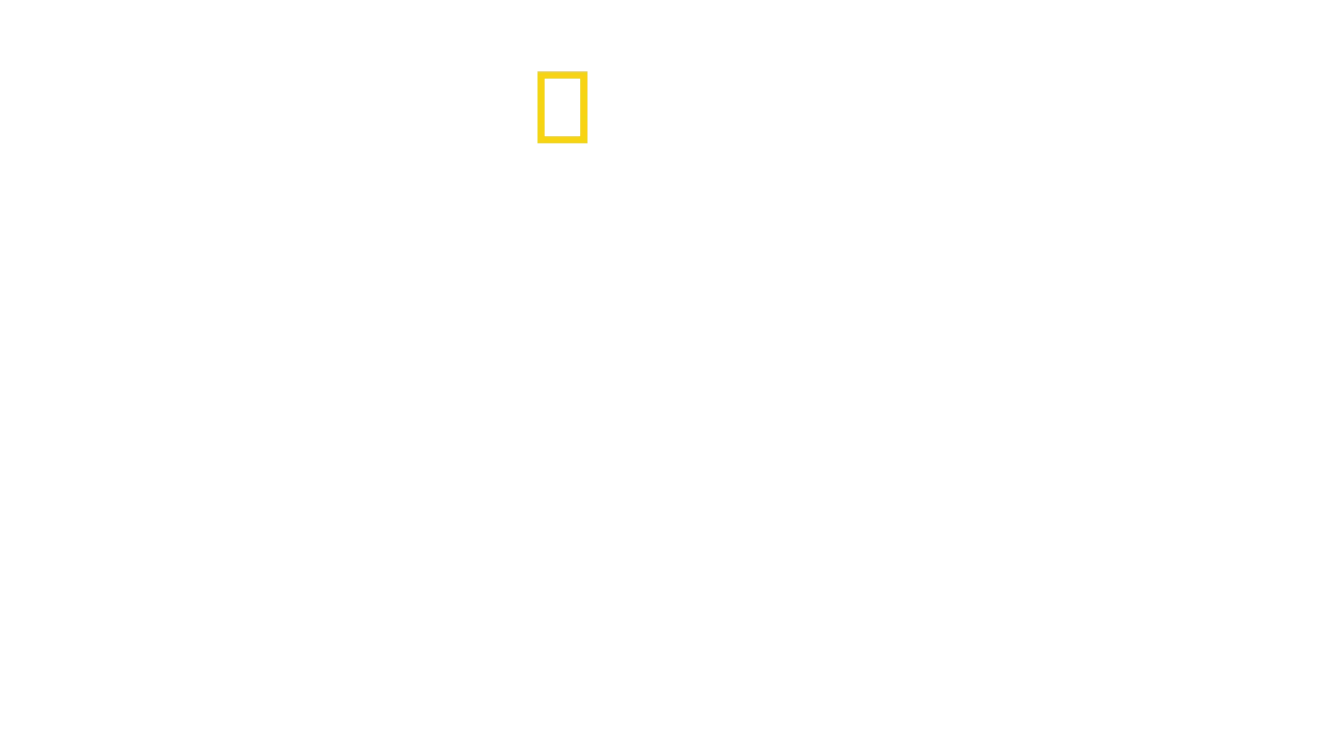 Supervivencia en la II GM