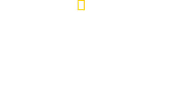 Supervivencia en la II GM